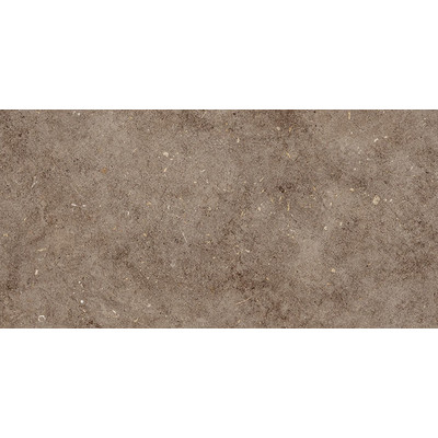 картинка Болонья 4 600*300 НОВАЯ коричневый с1 (1,98м.кв.) от Керамин-Нева (керамическая плитка, керамогранит)