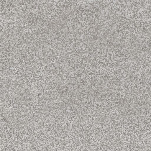 картинка Габбро-Р 1 600*600 серый (1,44 м.кв.) от Керамин-Нева (керамическая плитка, керамогранит)